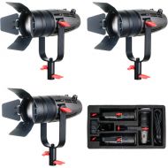 CAME-TV Boltzen 30W Fresnel Bi-Color LED Three-Light Travel Kit