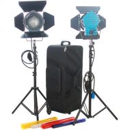 CAME-TV 1000W Fresnel Tungsten Video Camera Spot Light Kit with Dimmers