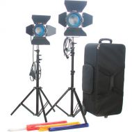 CAME-TV 2-Light Fresnel Tungsten Video Spot Light Kit (1 x 650W and 1 x 300W)