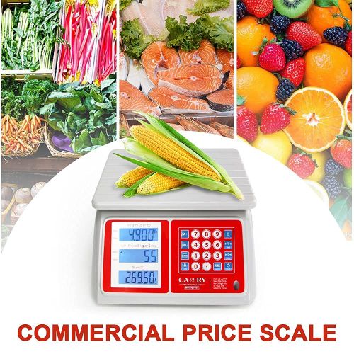  CAMRY Electronic Price Computing Scale IPX7 Waterproof, 66lb Electronic Commercial Food Meat Produce Weight Scale with White Backlight LCD for Farmers Market, Seafood, Rechargeable, Not