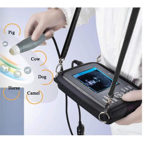  CARESHINE Careshine VET Veterinary Pregnancy Digital Ultrasound machine Scanner CE + 3.5 Mhz Convex probe + 3D