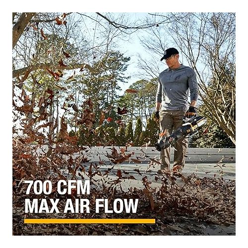  Cat DG650 60V 700 CFM 135 MPH Leaf Blower Cordless with Battery and Charger,Adjustable Speed Blowers for Lawn Care,Lightweight Cordless Leaf Blower with Variable Air Control Battery&Charger Include