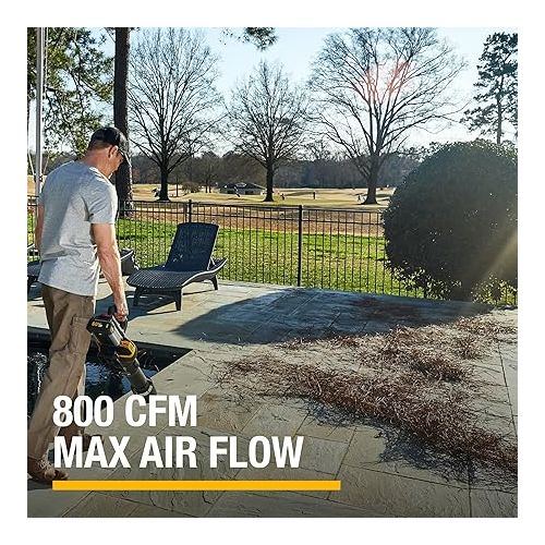  Cat DG651 60V 800 CFM 170 MPH High-Powered Leaf Blower Cordless, Adjustable Speed Blowers for Lawn Care, Lightweight Cordless Leaf Blower with Variable Air Control - Battery & Charger Included