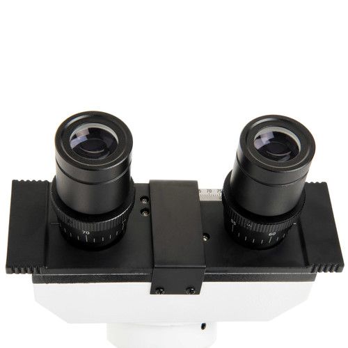  CELESTRON LABS CB2000CF Compound Binocular Microscope with 4.3 x 4.7