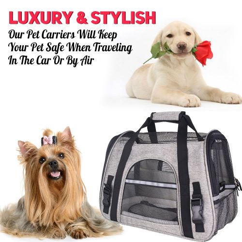  CFY Pet Travel Carriers Bag Soft-Sided Pet Portable Bag Airline Approved