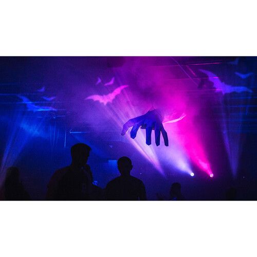  CHAUVET DJ Gobo Zoom 2 Custom Gobo Projector