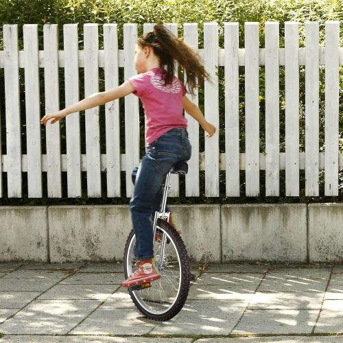  CHIMAERA 24 Wheel Unicycle Skid-Proof Chrome Outdoor Cycling Hobby Circus Recreational