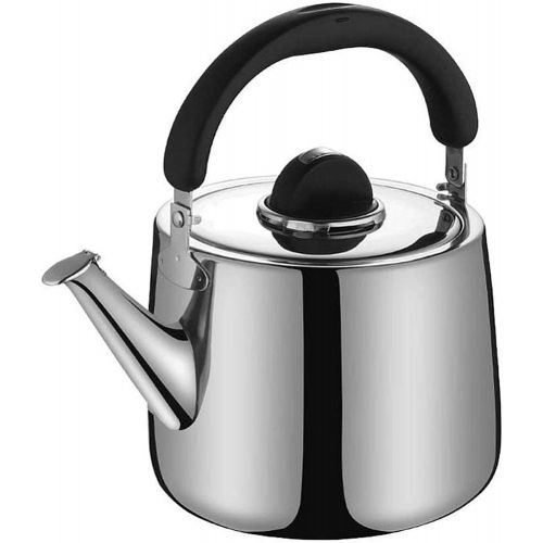  CHLDDHC Whistling Kettle, Stainless Steel Tea Kettle, Kettle With Whistling Tone, Kettle Induction for All Gas Stoves, Wood Stoves