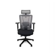 Autonomous Ergo Chair - Premium Ergonomic Office Chair - All Black Adjustable CHOOSEandBUY