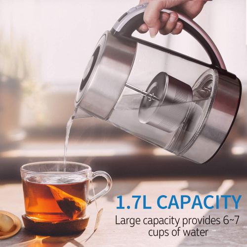  CISNO 2 in 1 Electric Tea Kettle With Infuser, Glass and Stainless Steel Body with Variable Temperature Control, Cordless, 1500W 1.7L (BPA-Free) Perfect for Loose Leaf Tea, Bloomin