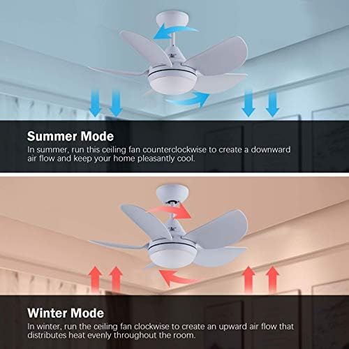  CJOY Ceiling Fan with Lights, 30 Small Modern Ceiling Fan with 5 Reversible Blades, Remote Controls, Adjustable Color Temperature, for Indoor/Outdoor, Matte White