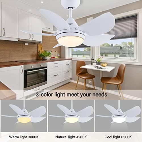  CJOY Ceiling Fan with Lights, 30 Small Modern Ceiling Fan with 5 Reversible Blades, Remote Controls, Adjustable Color Temperature, for Indoor/Outdoor, Matte White