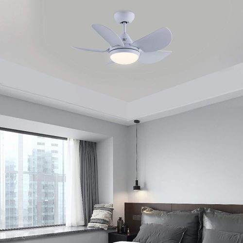  CJOY Ceiling Fan with Lights, 30 Small Modern Ceiling Fan with 5 Reversible Blades, Remote Controls, Adjustable Color Temperature, for Indoor/Outdoor, Matte White