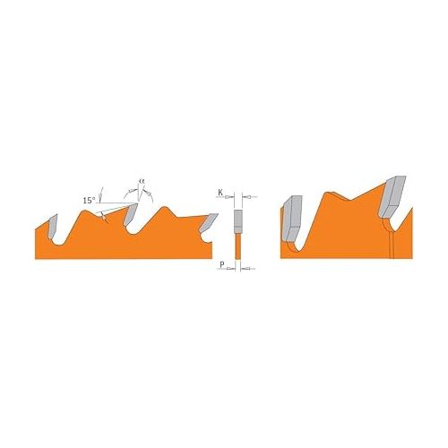  CMT 201.024.10 Industrial Ripping Saw Blade, 10-Inch. x 24 Teeth FTG Grind with 5/8-Inch. Bore, PTFE Coating