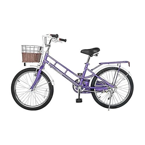  20 Inch Kids Bike Bicycles Fantasy-Style, Children Toddler Girls Leisure Bicycle with Basket Kickstand Included Fit for 7-10 Years Old Or 49-57 Inch Kids 3 Color