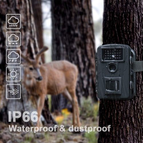  [아마존베스트]COOLIFE 16MP 1080P HD Wildlife Camera IP66 Waterproof Hunting Camera 940nm IR LEDs Night Vision, Motion Sensor 0.2 s Fast Trigger Speed Night Vision Wildlife Camera with 32G Memory
