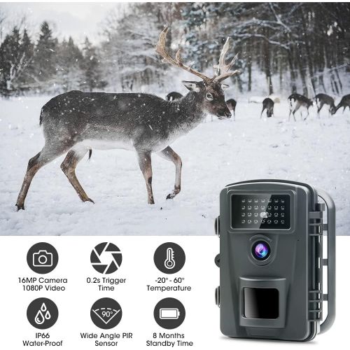  [아마존베스트]COOLIFE 16MP 1080P HD Wildlife Camera IP66 Waterproof Hunting Camera 940nm IR LEDs Night Vision, Motion Sensor 0.2 s Fast Trigger Speed Night Vision Wildlife Camera with 32G Memory