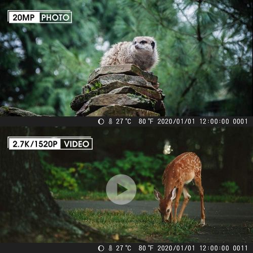  [아마존베스트]Coolife Wildlife Camera 2.7 K 20 MP Deduction Distance Up to 35 m Wildlife Camera with Motion Sensor Night Vision 0.1 s Fast Trigger Speed 46 Pieces IR LEDs Hunting Camera with 32G