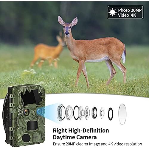  [아마존베스트]COOLIFE Wildlife Camera Dual Cameras 4K 20MP Extraction Distance Up to 25 m Wildlife Camera with Motion Sensor Night Vision 0.1s Fast Trigger Hunting Camera with Automatic IR Dimmi