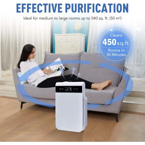  CO-Z HEPA Air Purifier for Home Office, 540 sq ft Room Capacity, 6 Layer Air Cleaner with True HEPA Filter, Air Ionizer, Remote Control, Large Air Purifier for Smokers