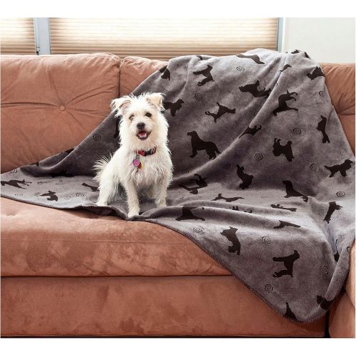  CPC Plush Tossed Dog Throw for Pets, 60 by 60-Inch, Grey