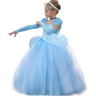 Cinderella Dress Princess Costume Halloween Party Dress up Blue