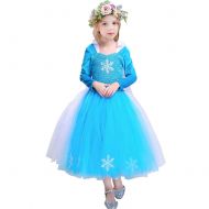 CQDY Elsa Princess Dress, Sleeveless Frozen Snow Girl Party Dress Tutu Dress