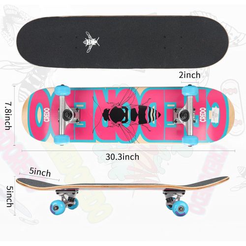  CREDO STREET Standard Skateboards, 31x 8Skateboard for Kids Ages 6-12 and Adult,7 Layer Canadian Maple Double Kick Deck Skate Board for Extreme Sports & Outdoors