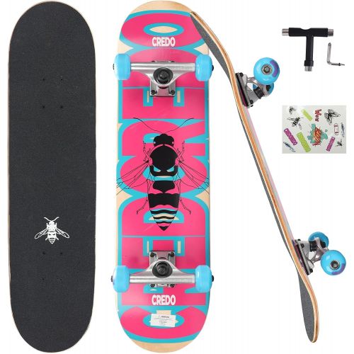  CREDO STREET Standard Skateboards, 31x 8Skateboard for Kids Ages 6-12 and Adult,7 Layer Canadian Maple Double Kick Deck Skate Board for Extreme Sports & Outdoors