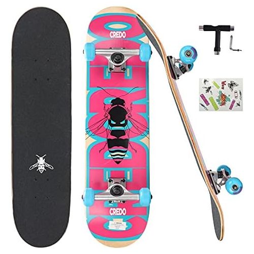  CREDO STREET Standard Skateboards, 31x 8Skateboard for Kids Ages 6-12 and Adult,7 Layer Canadian Maple Double Kick Deck Skate Board for Extreme Sports & Outdoors