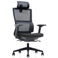 CUBOC High Back Mesh Ergonomic Office Chair with 2-to-1 Synchro-Tilt Control & Headrest, Executive Computer Task Chair for Home Office Conference Room