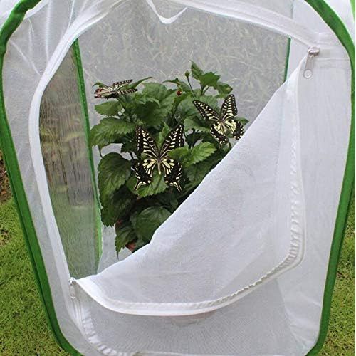  [아마존베스트]CUSFULL Insect and Butterfly Habitat Terrarium - 35.5 Inches Tall Collapsible for Storage Cage with Large Zipper Opening - Clear Window Panel