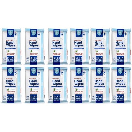  CWC Hand Sanitizing Wipes - Alcohol-Free - Sanitizes & Moisturizes - Helps Reduce Bacteria & Germs - Antiseptic Wipes for Disinfecting - 240 Count (12 Packs of 20)