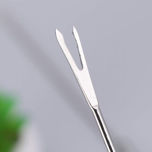  [아마존베스트]Cabilock Pack of 12 Stainless Steel Fondue Forks Dessert Server Skewer Forks for Cheese Meat Chocolate Dessert 24 cm