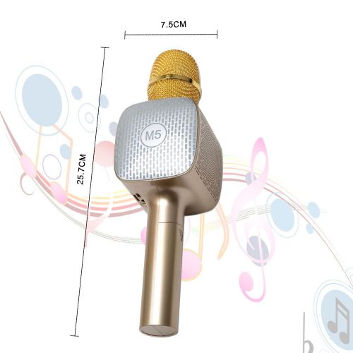  Caen Wireless Microphone with Bluetooth Speaker for iPhone Android Smartphone,Mic For Kids,Party Singing,Home KTV with LED lights