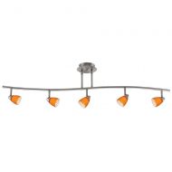 Cal Lighting SL-954-5-BKMBS Track Lighting with Mesh Brushed Steel Shades, Black Finish