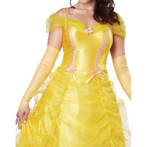  California Costumes Womens Classic Beauty Fairytale Princess Long Dress Gown