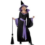California Costumes Glamour Witch Incantasia Costume