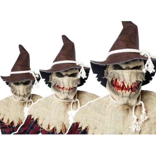  할로윈 용품California Costumes Adult Sadistic Scarecrow Costume