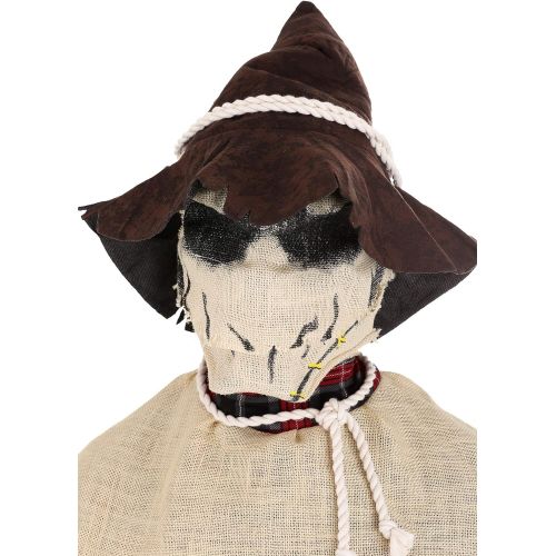  할로윈 용품California Costumes Adult Sadistic Scarecrow Costume