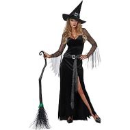 할로윈 용품California Costumes Womens Rich Witch Costume