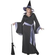 California Costumes Adult Womens Plus The Glamour Witch Costume