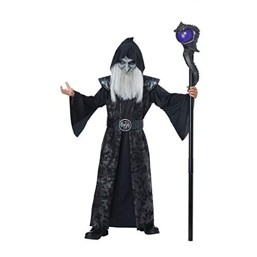  할로윈 용품California Costumes Child Dark Wizard Costume