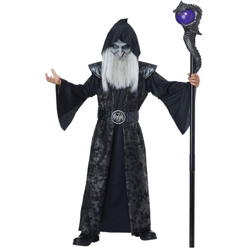  할로윈 용품California Costumes Child Dark Wizard Costume