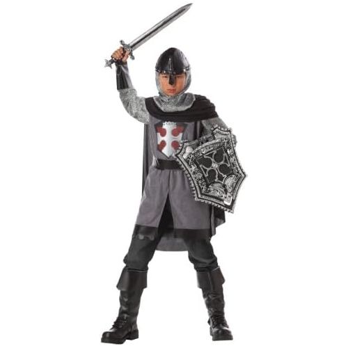  할로윈 용품California Costumes Boys Dragon Slayer Costume Large (10-12)