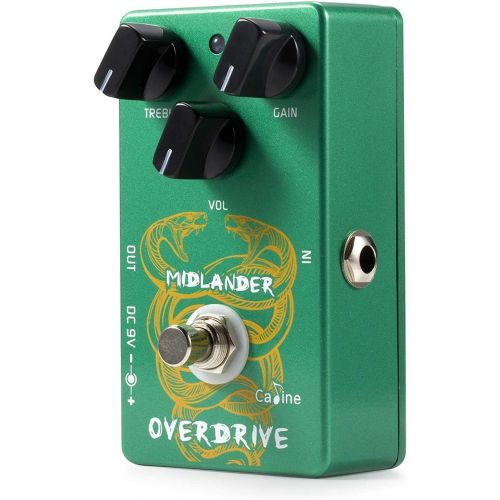  [아마존베스트]Caline Engineering Digital Delay and Echo Delay Pedal by Michael Angelo Batio Signature Guitar Effect Pedal