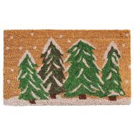 Calloway Mills 122251729 Winter Wonderland Doormat, 17 x 29, Multicolor