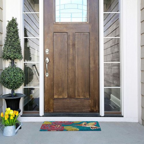  Calloway Mills 120261729 Hummingbird Delight Doormat, 17 x 29 x 0.60 Multicolor