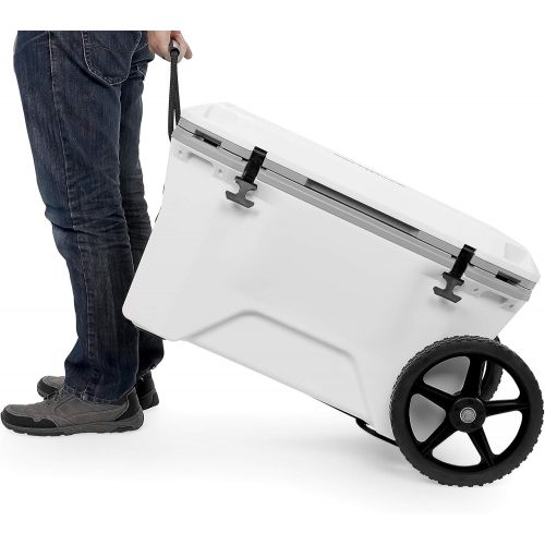  Camco 51798-A Cooler Cart Kit Features a Heavy-Duty Design & Adjusts up to 17.5 Wide Includes Durable Straps & 12 Wheels , White