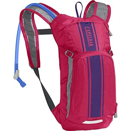  CamelBak Mini M.U.L.E. Kids Hydration Backpack, 50 oz